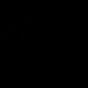 Meet your Posher, Marleni